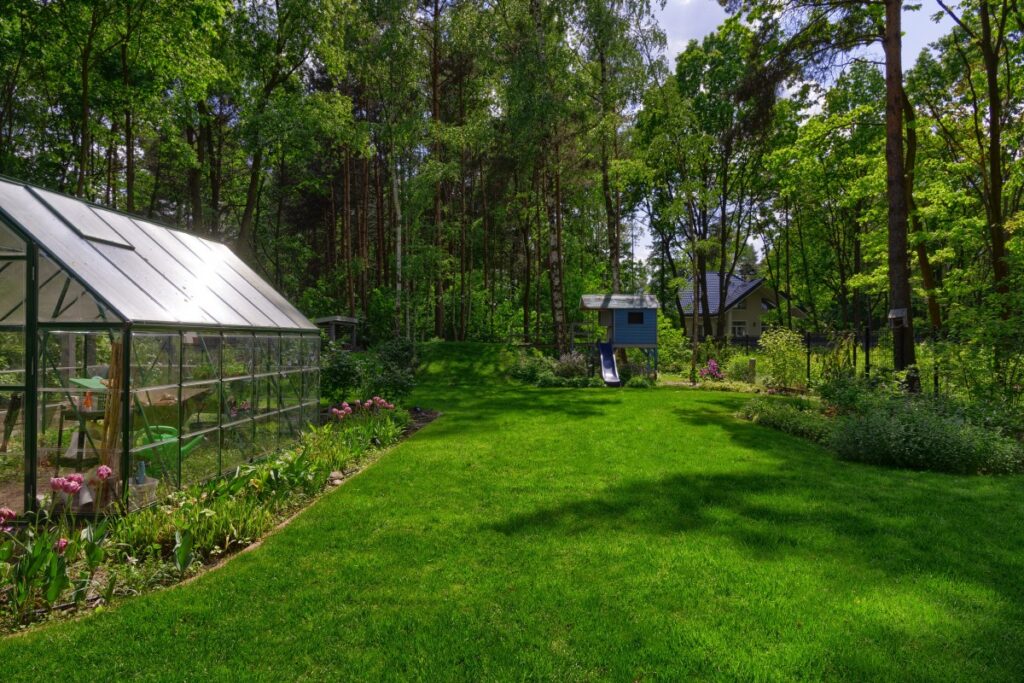 zakladanie trawnikow