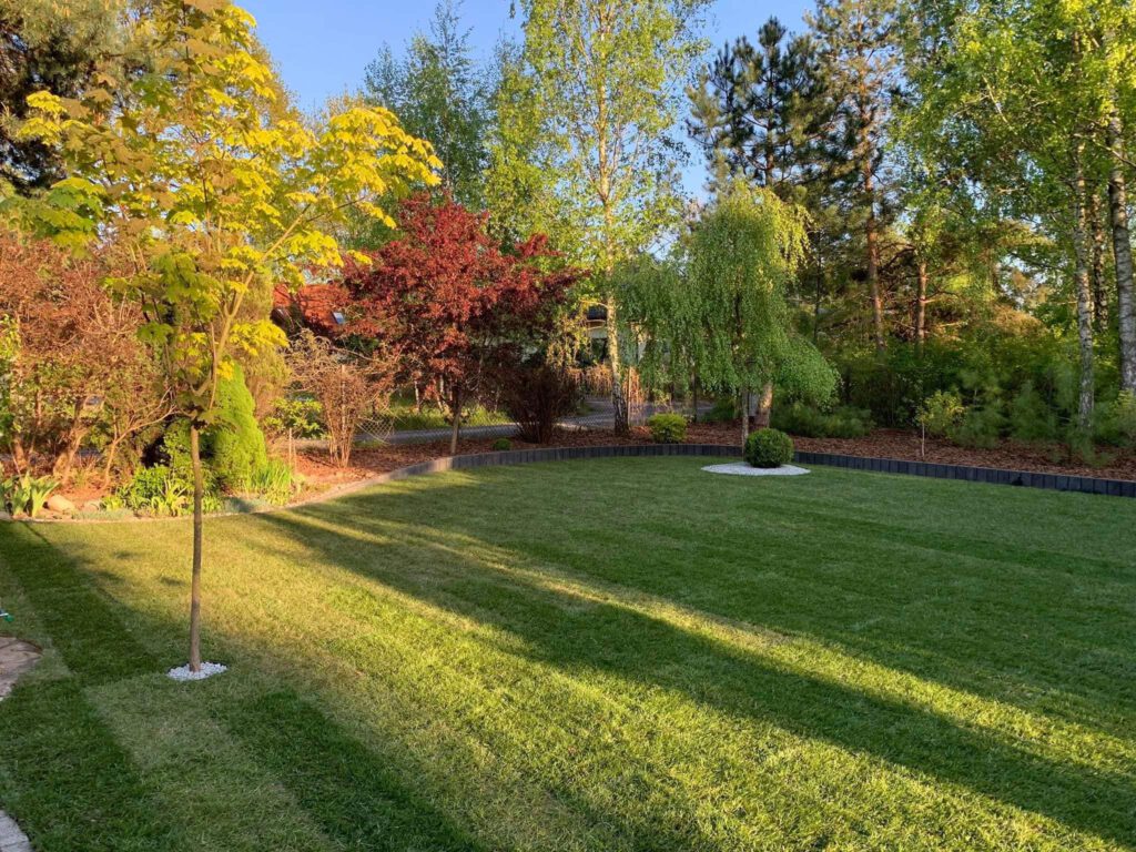 zakladanie trawnikow