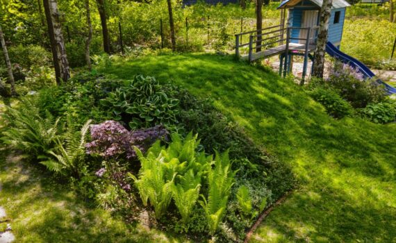 DJI_0679-HDR(3)