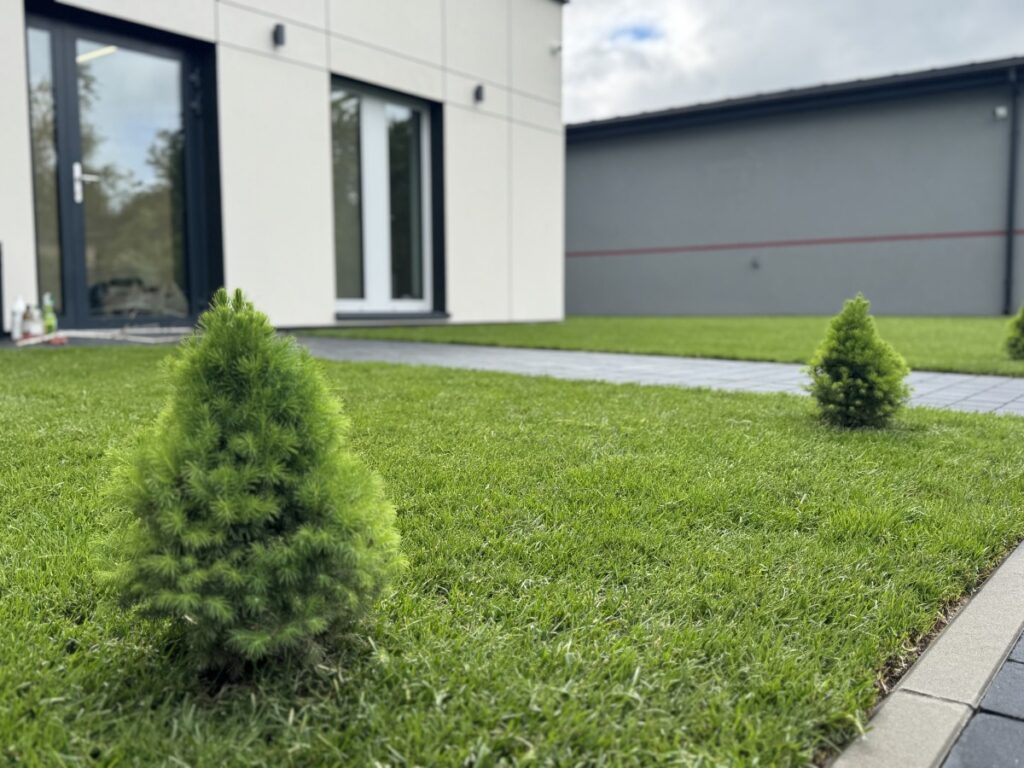 zakladanie trawnikow