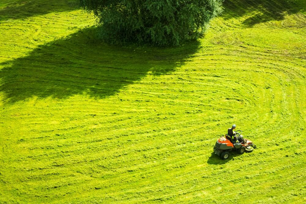 projektowanie ogrodow