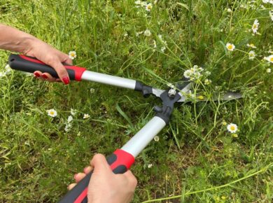 projektowanie ogrodow