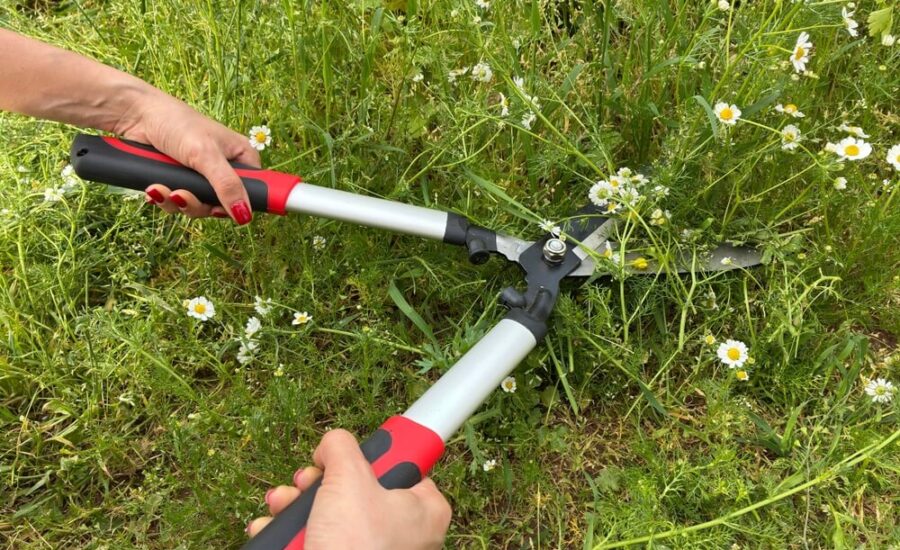 projektowanie ogrodow