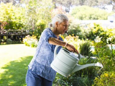 projektowanie ogrodow