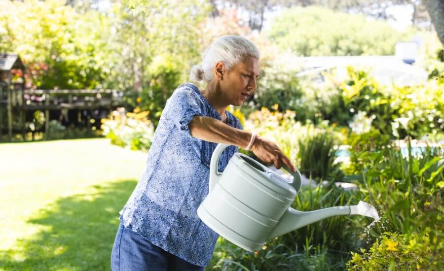 projektowanie ogrodow