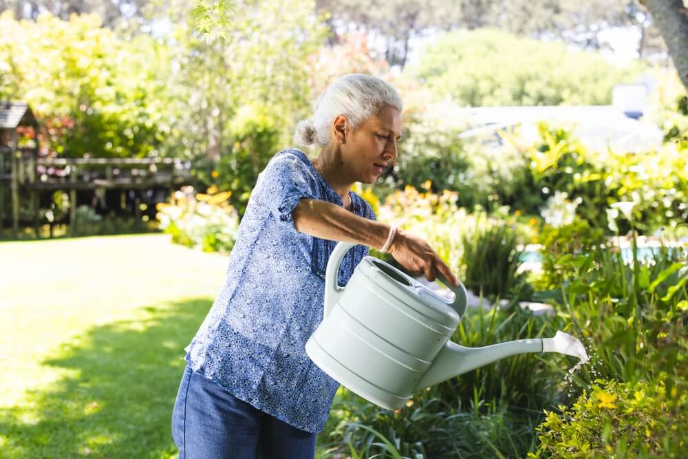 projektowanie ogrodow