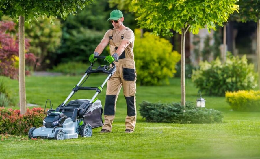 projektowanie ogrodow