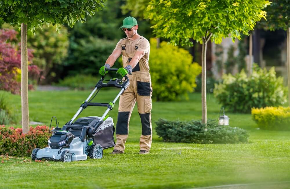 projektowanie ogrodow