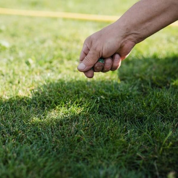 projektowanie ogrodow