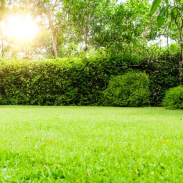 projektowanie ogrodow