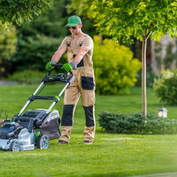 projektowanie ogrodow