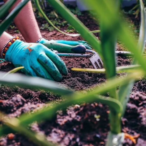 projektowanie ogrodow