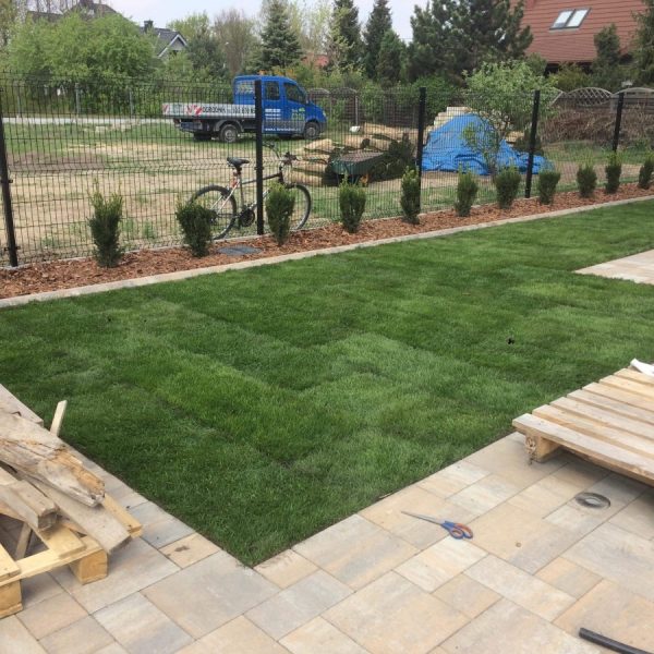 zakladanie trawnikow